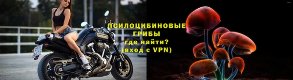 бошки Краснослободск