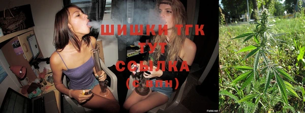 бошки Краснослободск