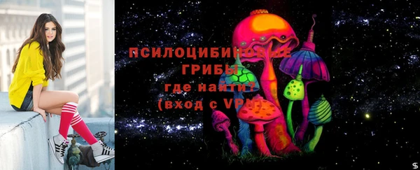 бошки Краснослободск