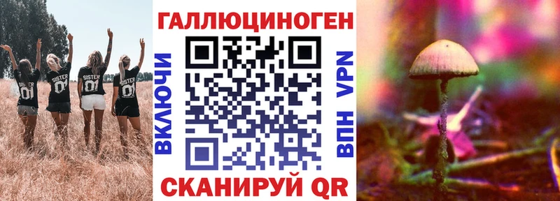 Купить закладки  Дмитров  Псилоцибиновые грибы MAGIC MUSHROOMS 